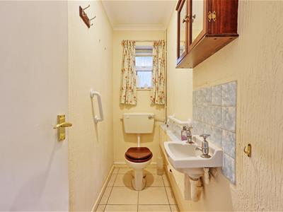 Picture 7